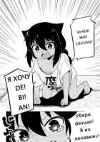 498x709