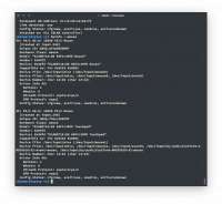 964x887