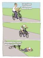 365x496
