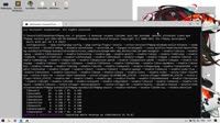 1366x768
