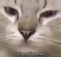 400x372