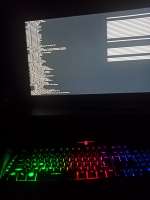1560x2080