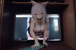 2560x1707