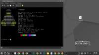 1366x768