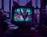 1024x810