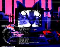 1024x810