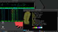 1366x768
