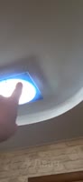 442x960