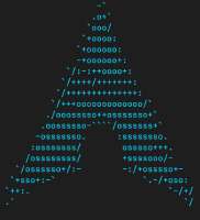 627x687