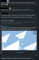 437x663