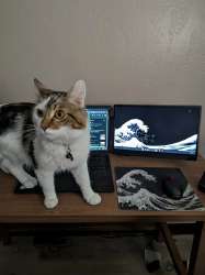 640x853