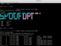 1132x850