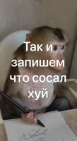 464x848