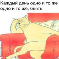 500x498