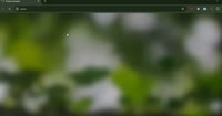 1236x652