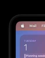 244x316