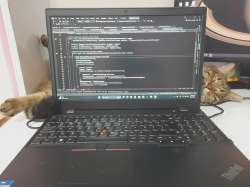 1080x810