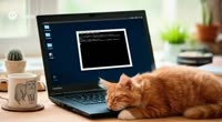 1280x704