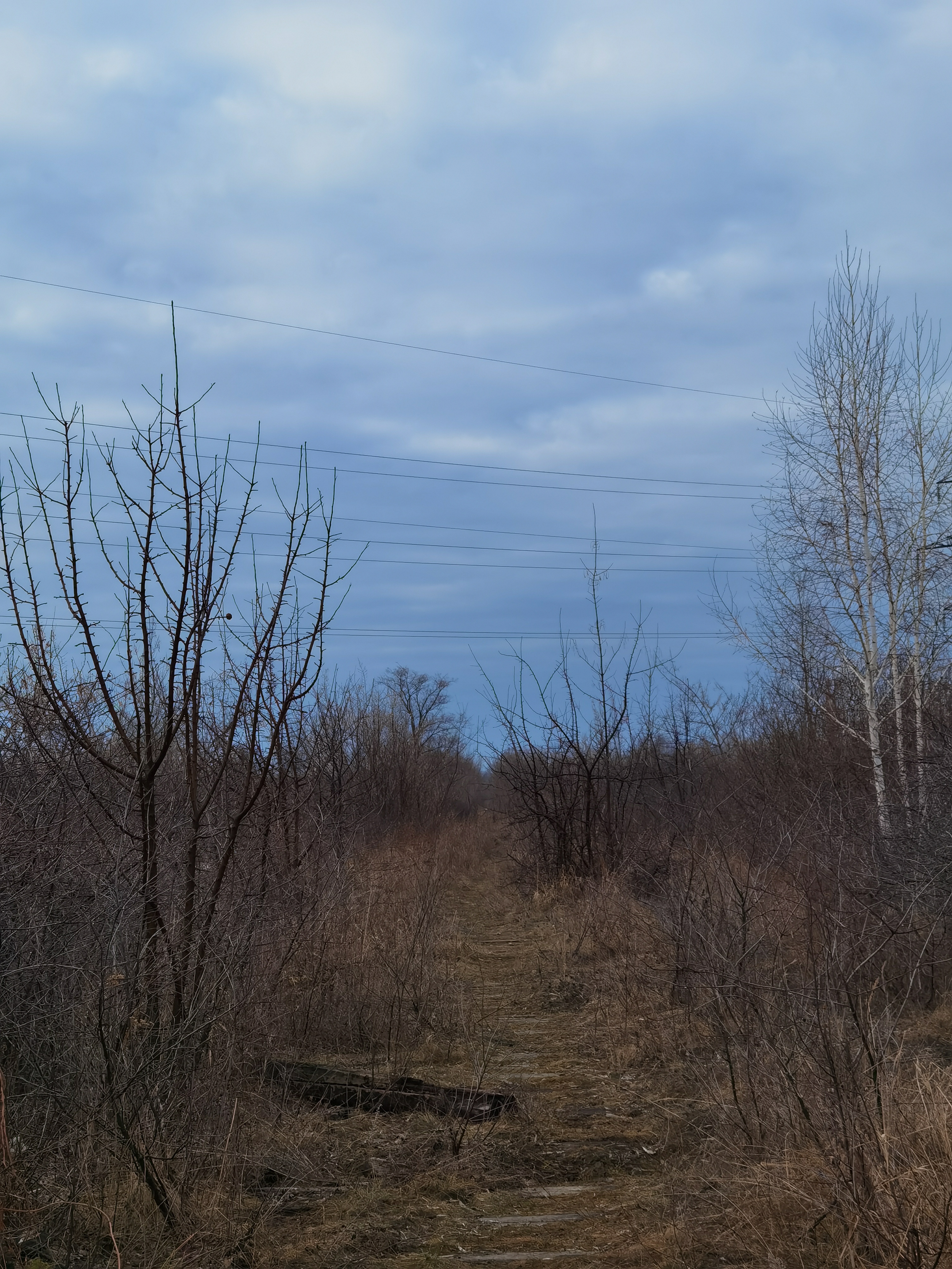 3072x4096