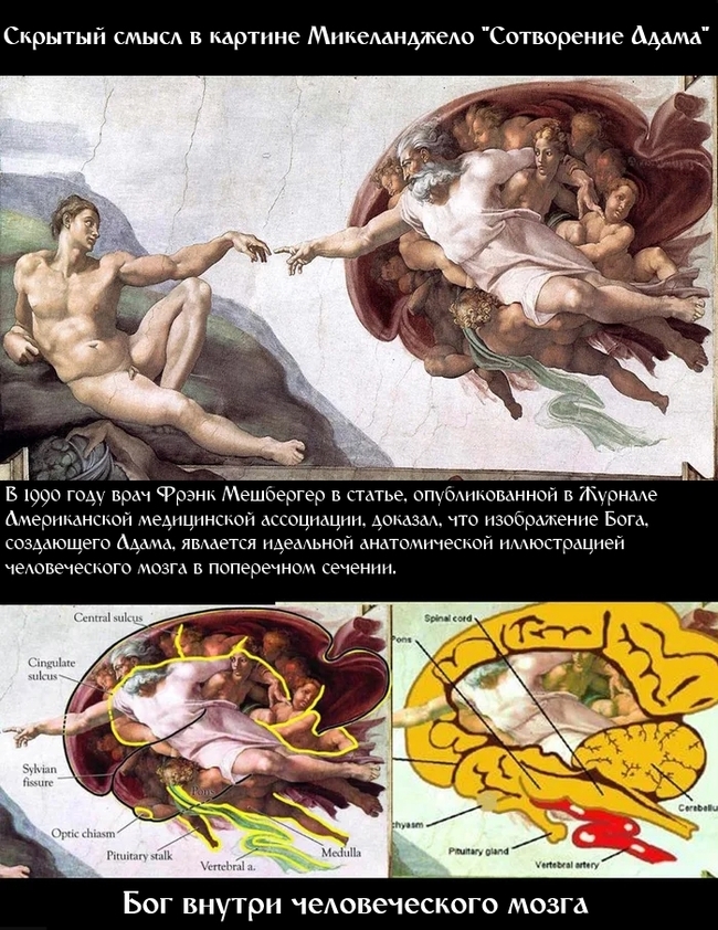 650x842