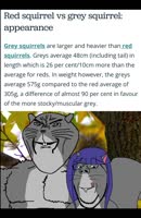 720x1104