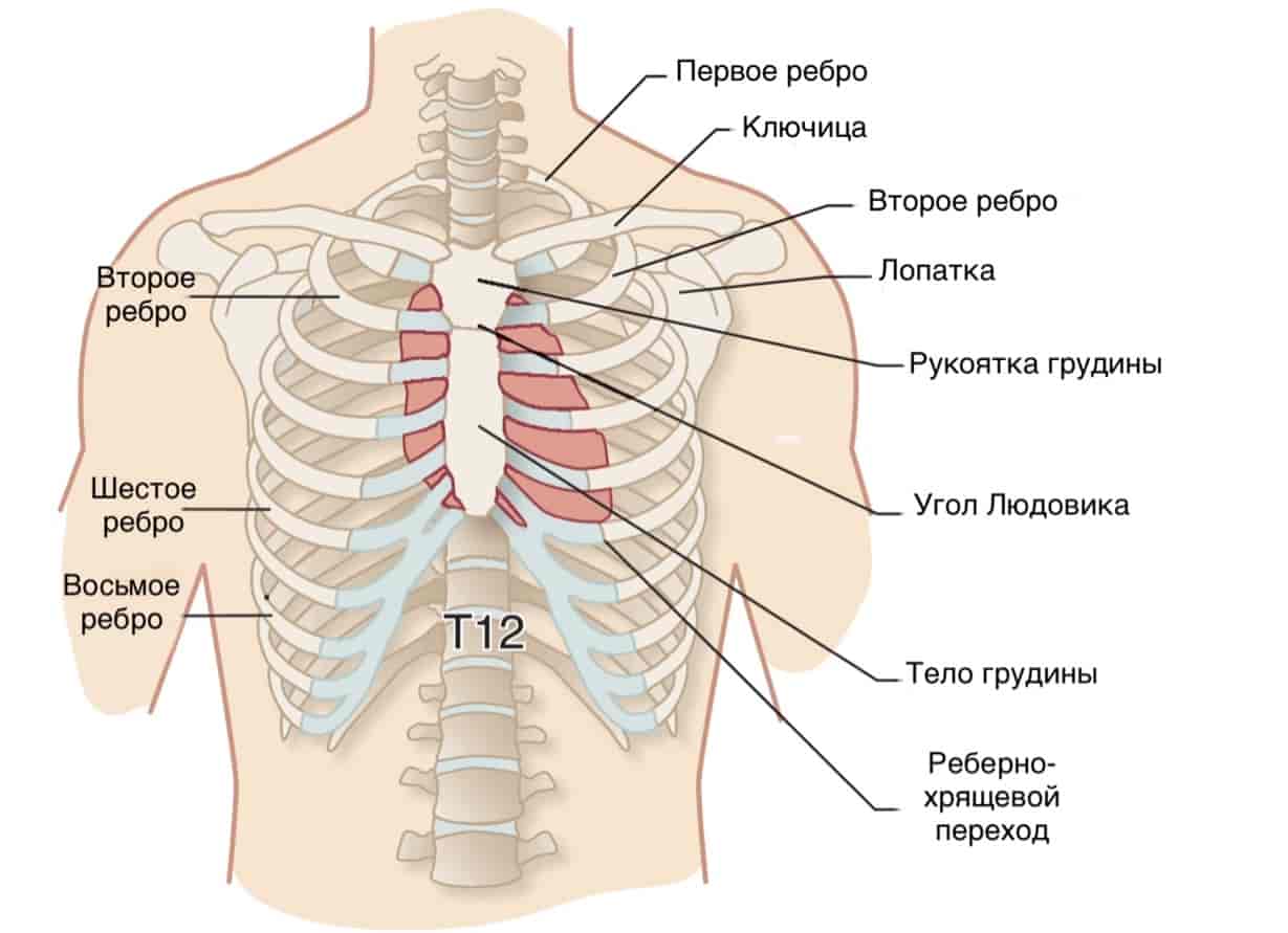 1229x891