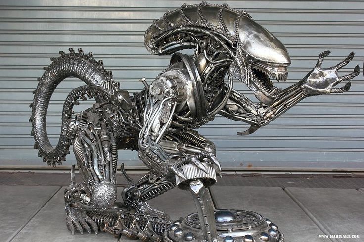 736x490