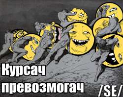 800x636