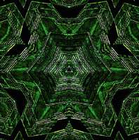 533x538