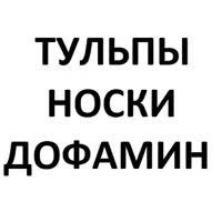 500x500