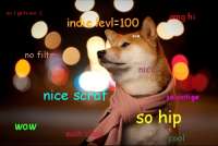 500x336