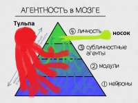 632x477