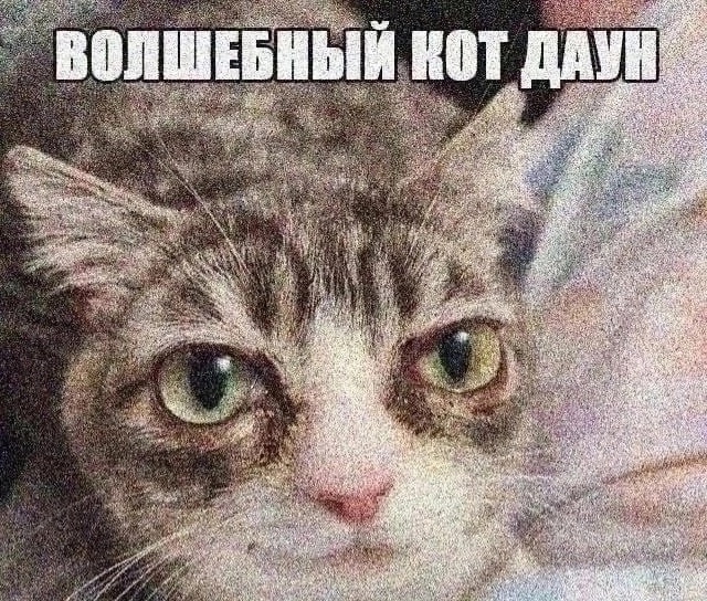 640x544