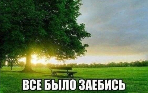 564x354