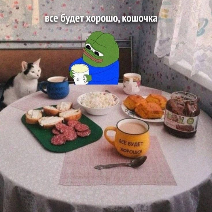 736x736