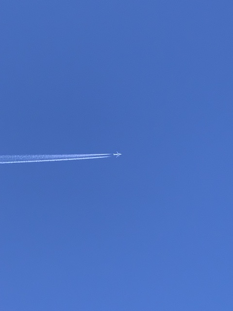 480x640