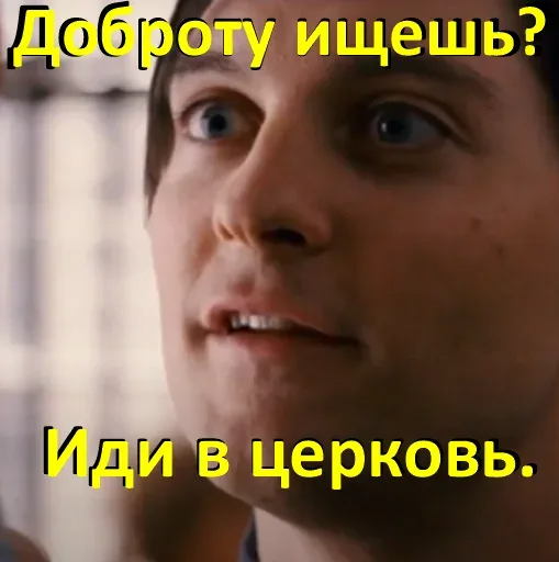 509x512