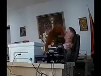 360x270