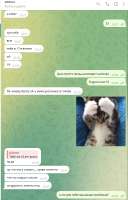 578x903