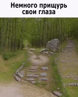 866x1080