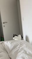 464x848