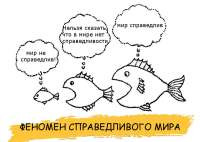 1200x853