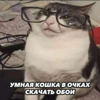 1080x1080