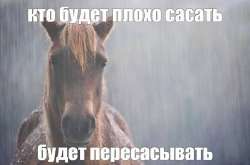549x364