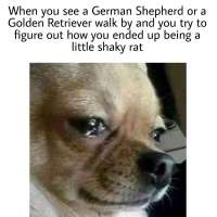 1280x1280