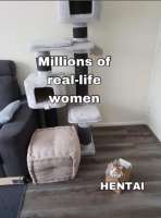 540x726