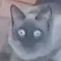 600x600