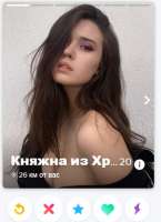 399x547
