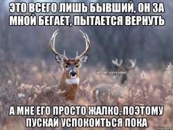 800x600