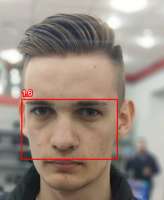 439x535